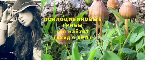 Альфа ПВП Переславль-Залесский