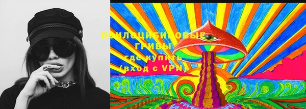 PSILOCYBIN Пересвет
