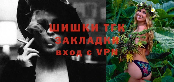 PSILOCYBIN Пересвет